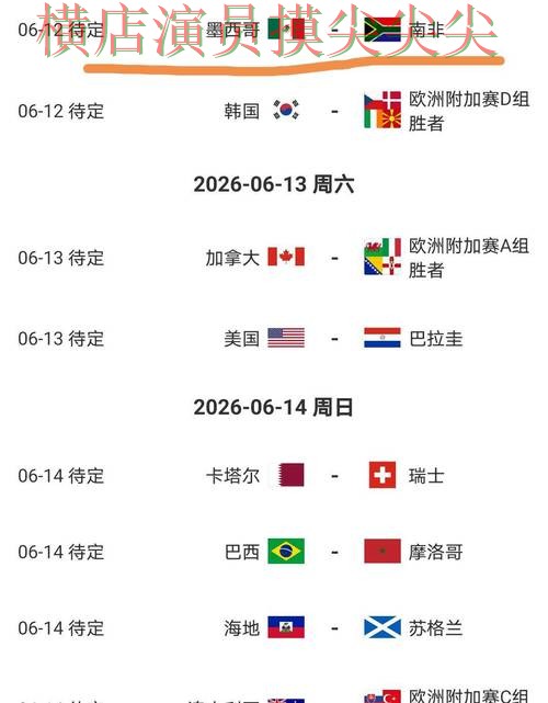 World Cup 2026来临，世界杯竞猜网站用户反馈+直播与平台选择揭秘